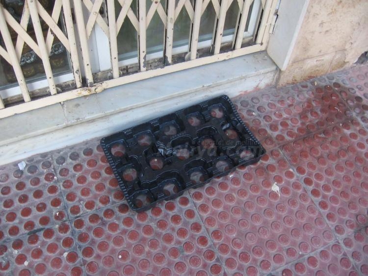 Melilla, amenazada por los guarros y los destructores