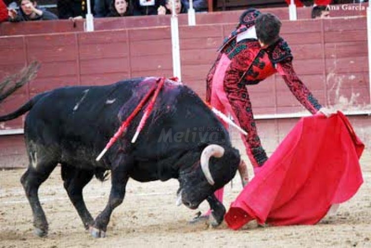 Las Ventas, el gran reto de Adolfo Ramos
