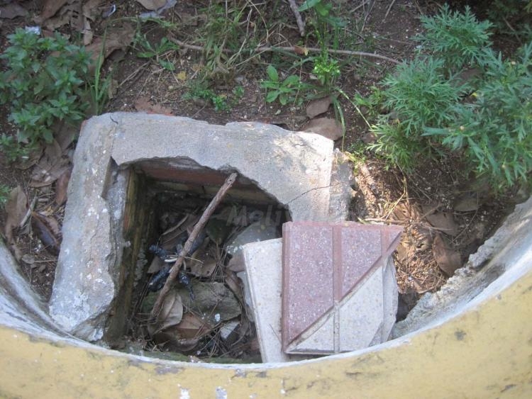 Don Ramón, hay que arreglar el Parque Lobera