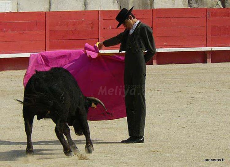 Adolfo Ramos, el reposo de un torero que sigue recuperándose