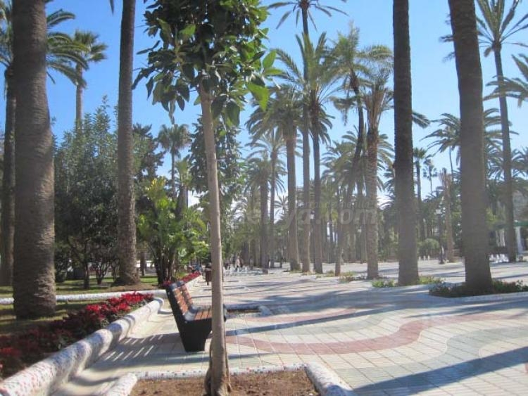 Y Fran Pérez se enamoró de su parque