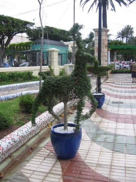 'Melilla es flor' por sus cuatro costados