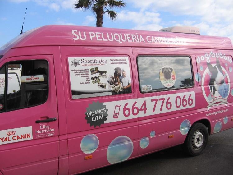'Dogsbuble', cuidados caninos a domicilio