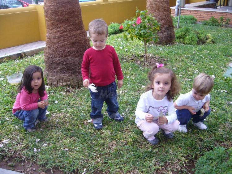 Medio Ambiente más infancia, igual a Enrique Soler