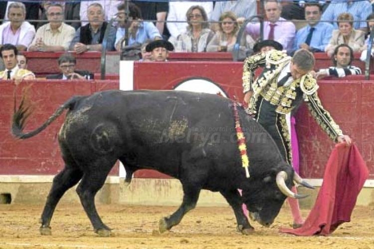 El adiós abulense del hijo predilecto de la Mezquita del Toreo, Manolo Sánchez