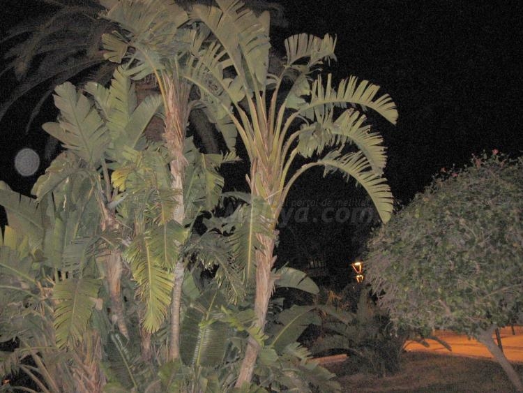 De día y de noche, el Parque es hermoso, don Venancio