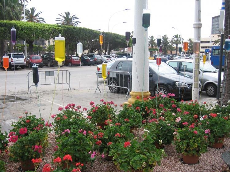 'Melilla es flor' por sus cuatro costados