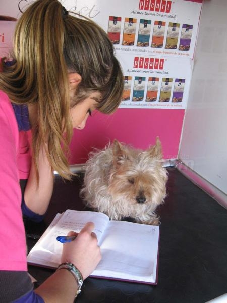 Unidad móvil para coquetería canina, 'Dogsbubble'