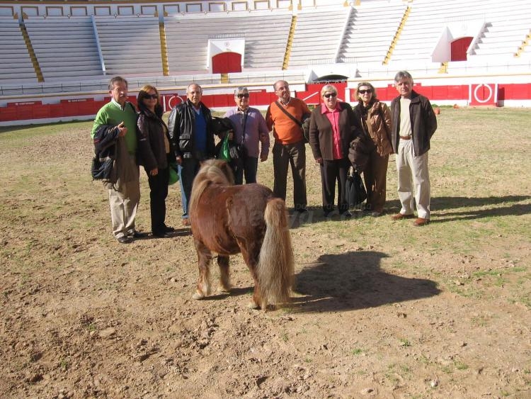 Cirujanos taurinos, visita de lujo a la 'Mezquita del Toreo'