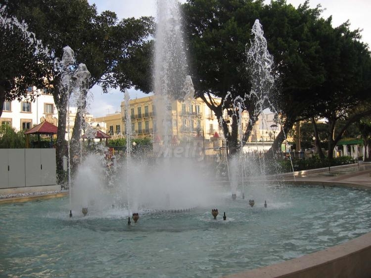 De día y de noche, el Parque es hermoso, don Venancio