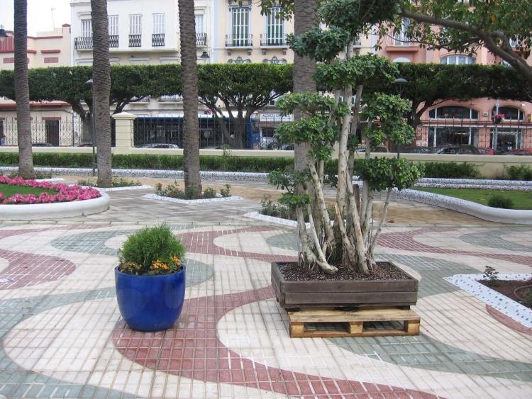 'Melilla es flor' por sus cuatro costados