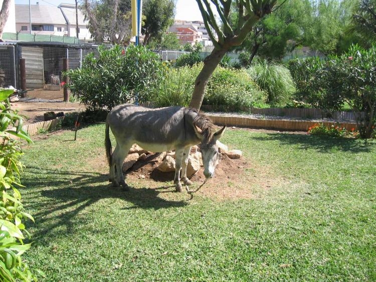 Gloria Fuertes, Granja Escuela...de vida