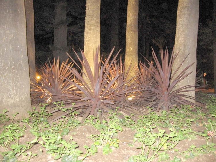 De día y de noche, el Parque es hermoso, don Venancio