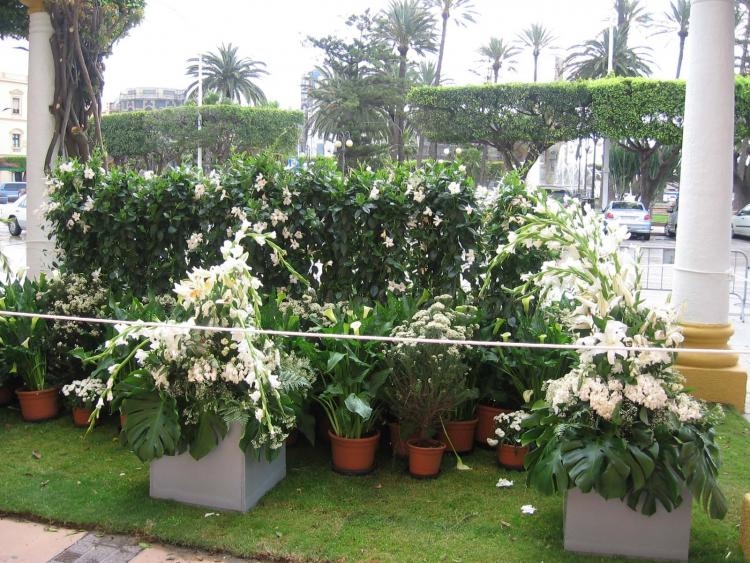 'Melilla es flor' por sus cuatro costados