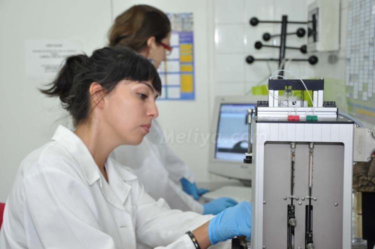 Cuatro de cada diez invstigadores españoles en Biomedicina son mujeres