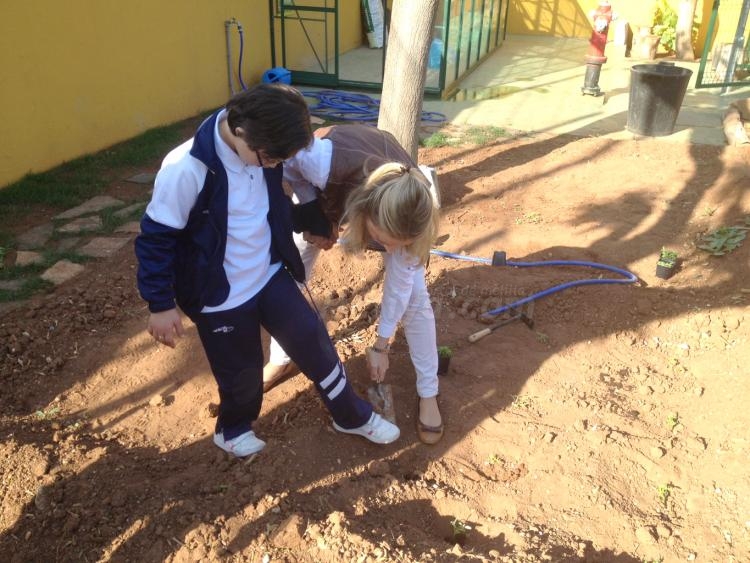 'Semillas de ilusión', un proyecto de aprendizaje medioambiental para alumnos especiales