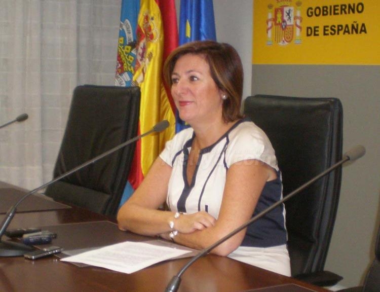 CERMI: De política, nada y de reconocimiento, mucho