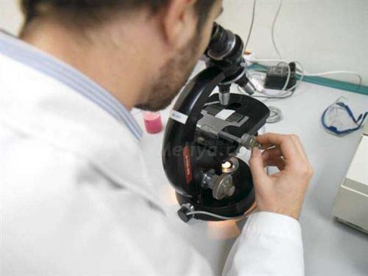 La crisis no puede frenar la investigación en el tratamiento y cura del cáncer