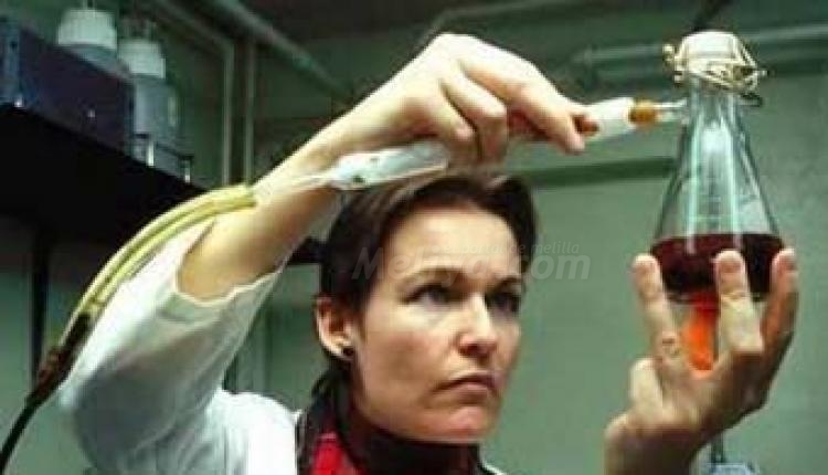 Cuatro de cada diez invstigadores españoles en Biomedicina son mujeres