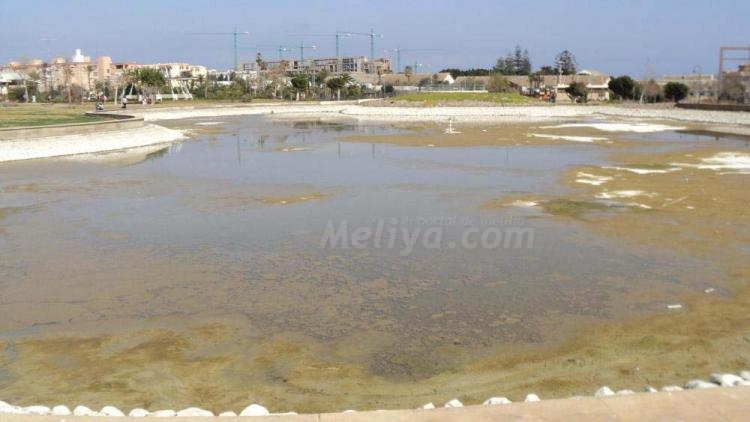 Lagunas desecadas, carpas en peligro en el Parque Forestal