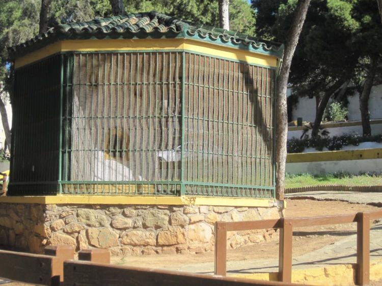 La reforma del Parque Lobera pide paso en la agenda de Medio Ambiente