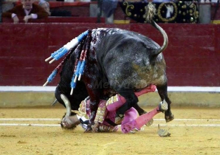 La épica de Padilla, al servicio de la tauromaquia española