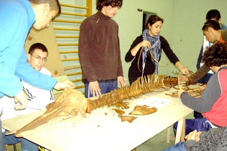 Guelaya, poco entendidos pero absolutamente necesarios