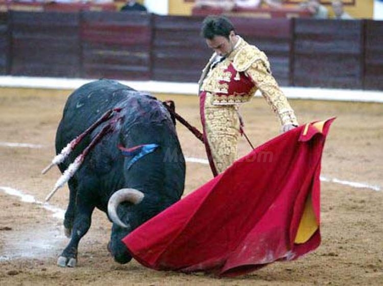 Recortes para los festejos taurinos pero con precisiones