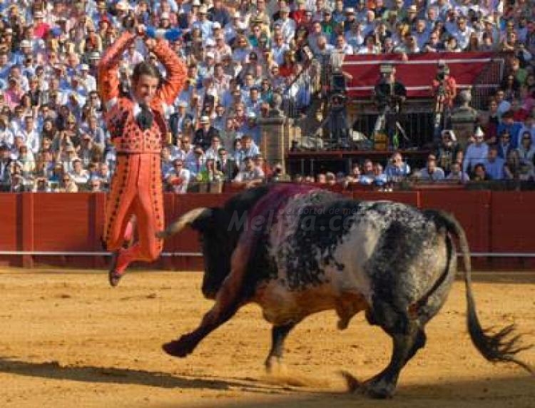 La épica de Padilla, al servicio de la tauromaquia española