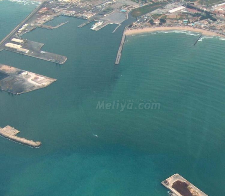 Caen en picado las capturas pesqueras en el Dique Sur