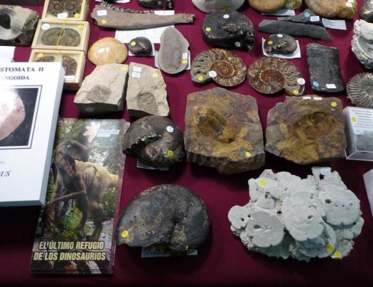 ‘El último refugio de los dinosaurios’ de Gaselec, presente en el encuentro 'Natura 2012: edición otoño’