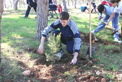 Éxito de participación en la plantación popular de árboles organizada por Guelaya y Medio Ambiente