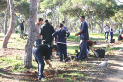 Éxito de participación en la plantación popular de árboles organizada por Guelaya y Medio Ambiente