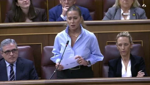 Imagen de la noticia: Acedo acusa a Robles en el Congreso de dejar "atados de manos" a los militares en Ceuta