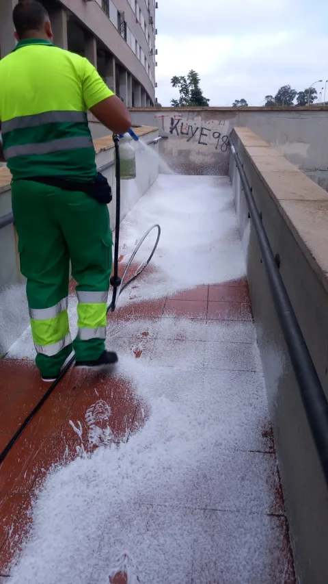 Imagen de la noticia: Medio Ambiente retira residuos vertidos fuera de contenedores en Averroes