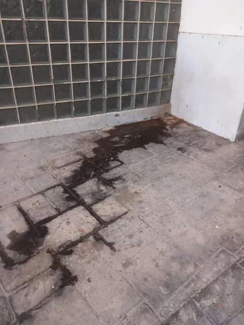 Imagen de la noticia: Medio Ambiente retira residuos vertidos fuera de contenedores en Averroes