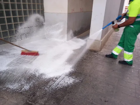 Imagen de la noticia: Medio Ambiente retira residuos vertidos fuera de contenedores en Averroes