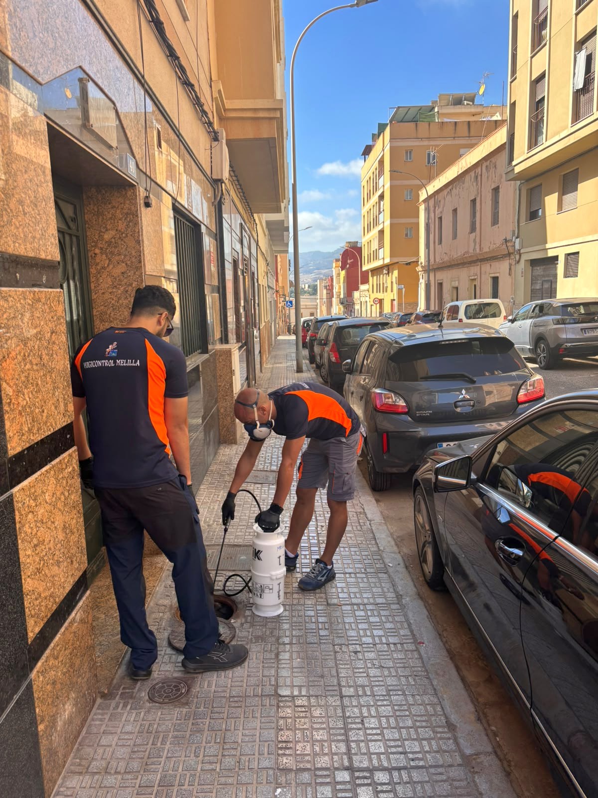 Imagen de la noticia: Medio Ambiente desinsecta el alcantarillado en Carmen, Batería Jota y Ataque Seco