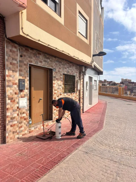 Imagen de la noticia: Medio Ambiente desinsecta el alcantarillado en Carmen, Batería Jota y Ataque Seco