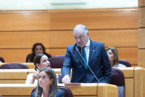 Imagen de la noticia: Otazu exige al Gobierno en el Senado que dimita por su gestión con Marruecos