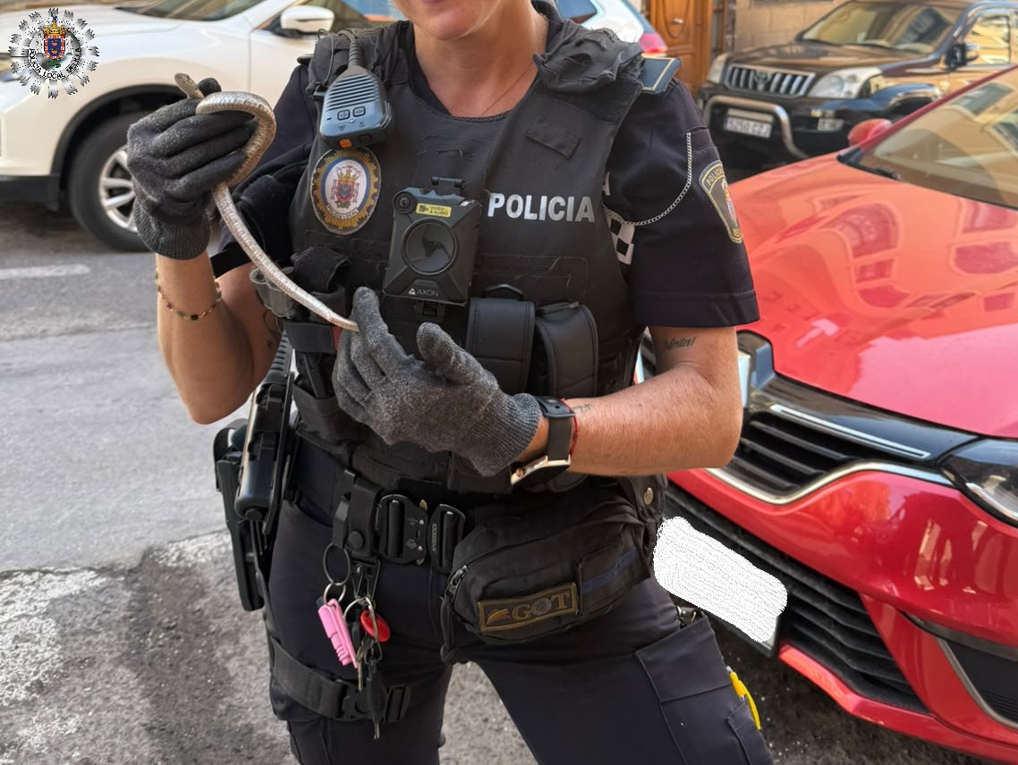 Imagen de la noticia: Policía Local captura una culebra en una vivienda del Barrio del Carmen