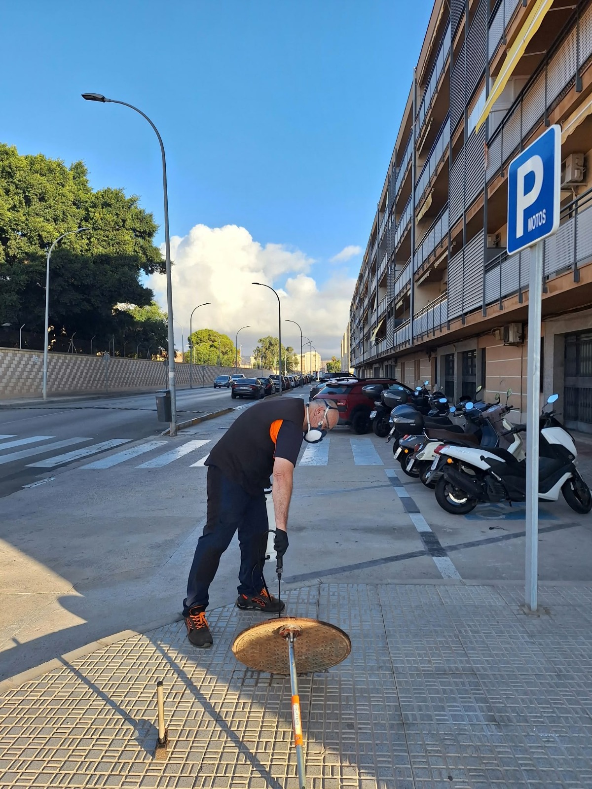 Imagen de la noticia: Medio Ambiente desinsecta el alcantarillado de Alfonso XIII contra las cucarachas