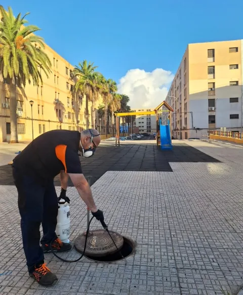 Imagen de la noticia: Medio Ambiente desinsecta el alcantarillado de Alfonso XIII contra las cucarachas