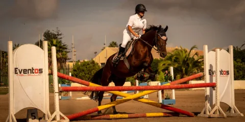 Imagen de la noticia: El III Concurso Hípico de Saltos reúne a 31 jinetes en el CMAP de Melilla